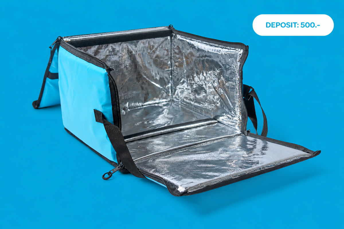 Car Delivery Bag Top Opening